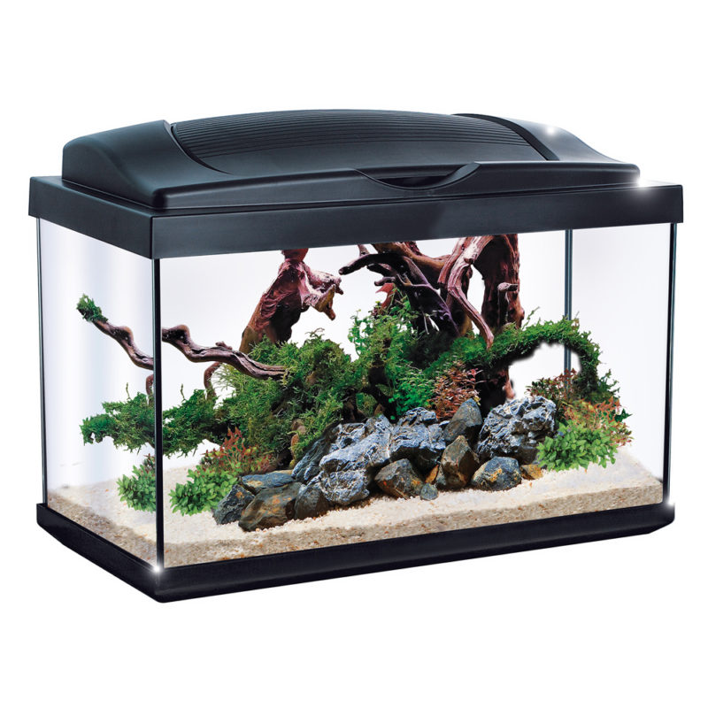 Aquarium Accessories and Decorative.pdf