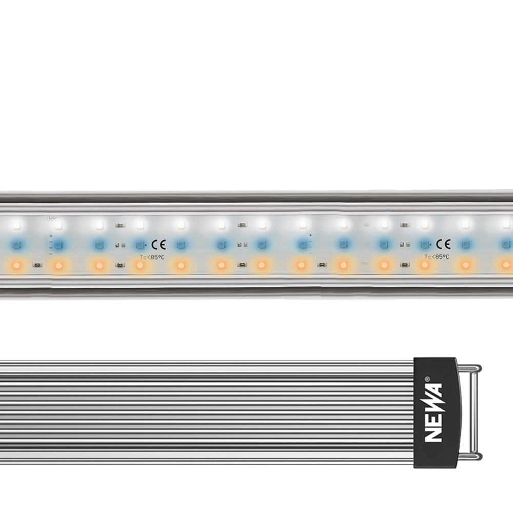 NEWA LED FRESH PLANTS